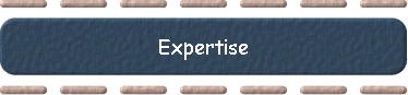  Expertise 