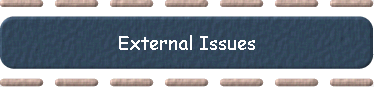External Issues