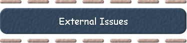  External Issues 