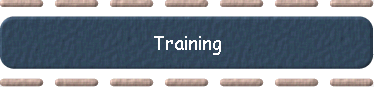  Training 